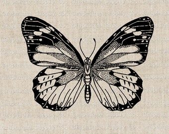 Vintage Butterfly Illustration: Printable Clip Art Image (PNG JPEG Digital Download)
