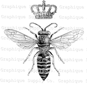 Queen Bee Clip Art-bee Decal- Iron on Transfer-original Art Work- Home Decore - Etsy