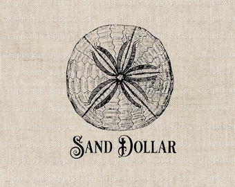 Sand Dollar SVG Beach Nautical Vintage Illustration- Instant Download-Popular printables-Crustaceancore-Ocean Clipart-Home decore