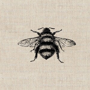 May include: A black and white illustration of a bee with its wings spread out. The bee is drawn in a vintage style and has a detailed body with stripes.