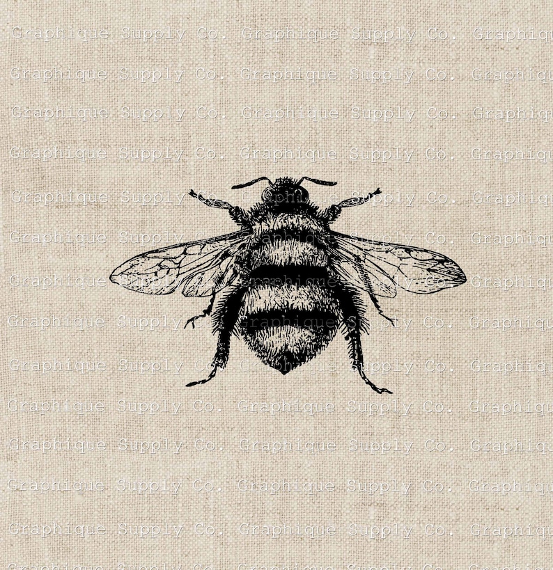 May include: A black and white illustration of a bee with its wings spread out. The bee is drawn in a vintage style and has a detailed body with stripes.