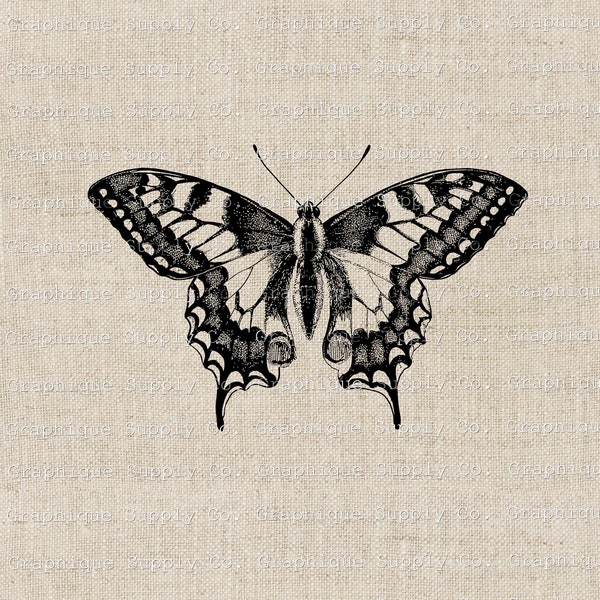 Monarch Butterfly specimen Vintage Illustration- Instant Download Digital Printable Clip Art Iron on Transfer Image PNG JPEG Format 300dpi