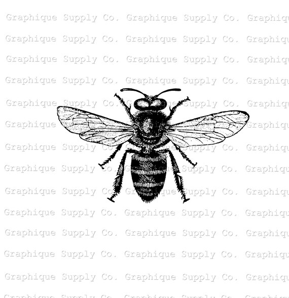 Manifesto pubblicitario d'epoca | Planète Vintage