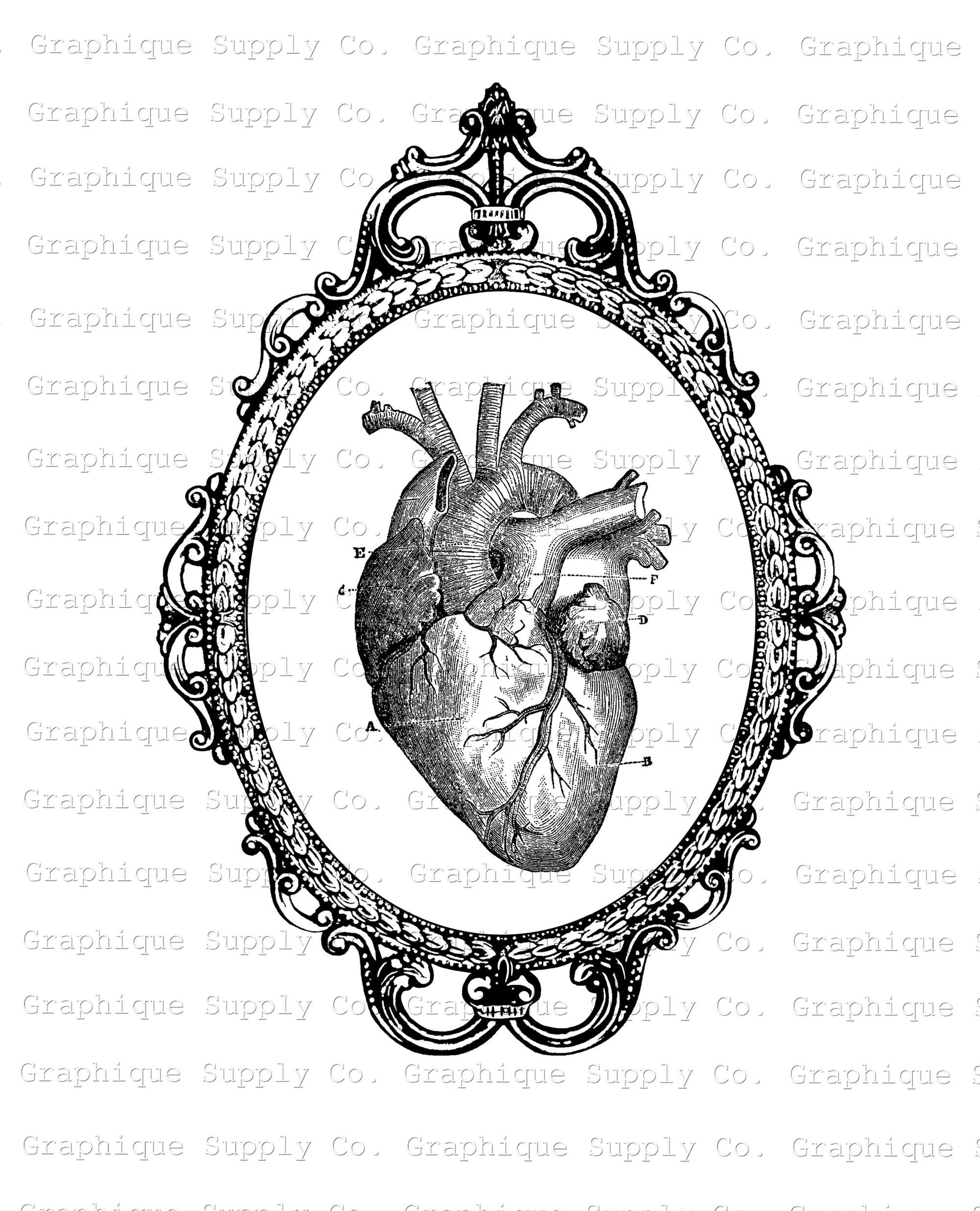 Vintage Heart Frame Digital Clip Art Instant Download Printable