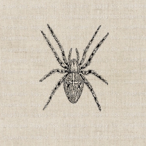 May include: A black and white illustration of a spider on a beige background. The spider has eight legs and a detailed body.