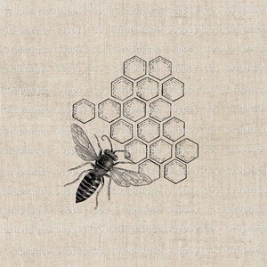 Bienenkönigin Honig Kamm Vintage Illustration - Sofortiger Download Digital Druckbare Clip Art Clip Art Aufbügler Transfer Bild PNG JPEG 300dpi