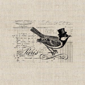 Oiseau vintage avec chapeau haut de forme SVG, gravure parisienne Style Vector Clipart, téléchargement numérique dessiné à la main, bricolage imprimable pour travaux manuels et collage