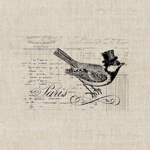Vintage Gravura Pássaro Clipart, Parisian Estética Pássaro Com Cartola, DIY Imprimível Digital Download, Mão Desenhada Imagem Para Artesanato & Colagem