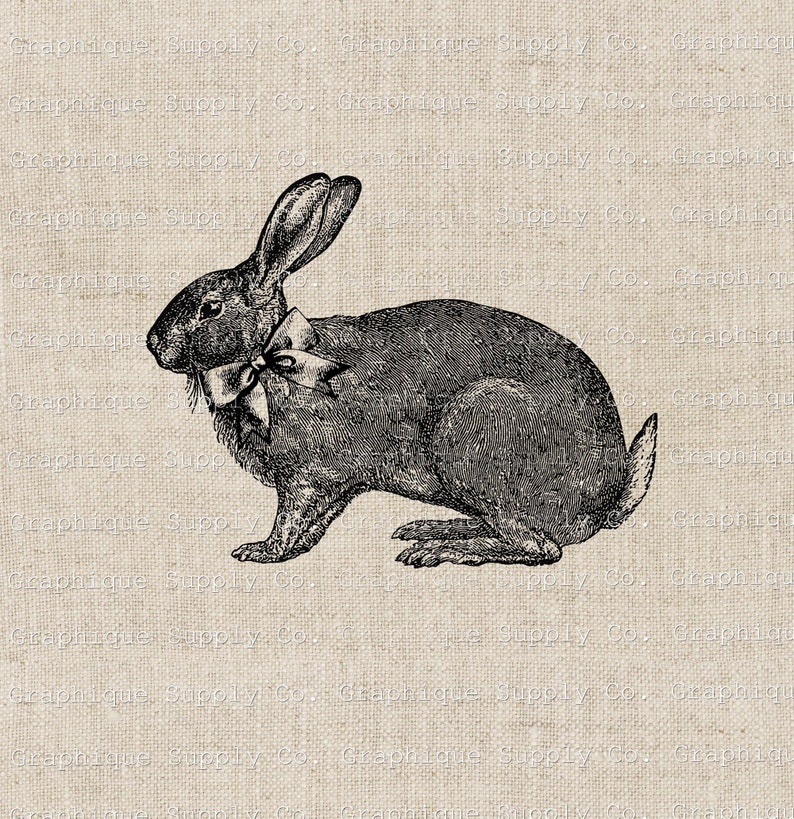 Kanin Clip Art Påskhare Vintage Ladda ner Digitalt - Utskrivbar PNG JPEG 300 dpi clipart bild 1