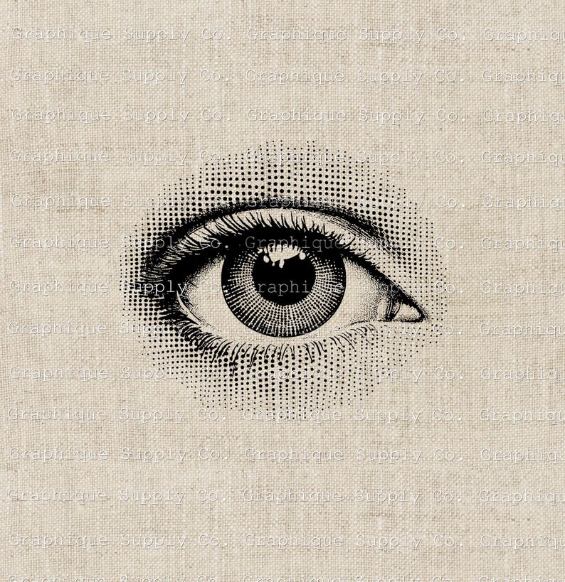 Eye Engraved Pattern Vintage Anatomical Eye Illustration: Engraving Style Clipart (digital ...