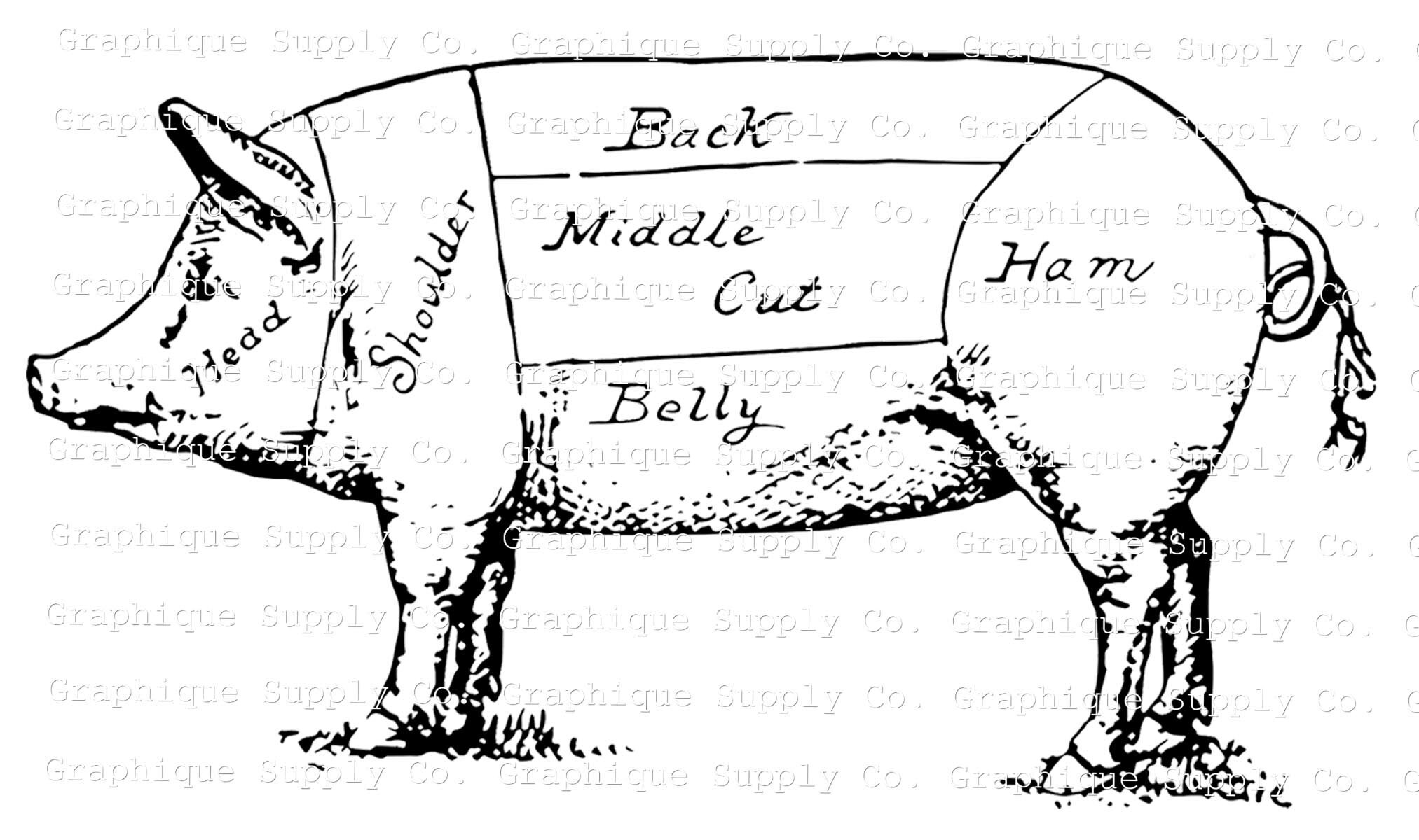 Vintage Pig Illustration Instant Download Digital Printable Vintage