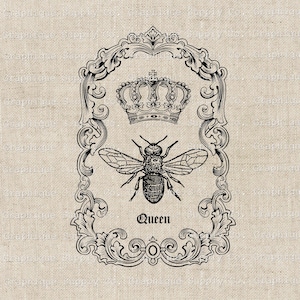 Queen Bee Crown Vintage Illustration: Scroll Frame Clip Art (Digital Download)