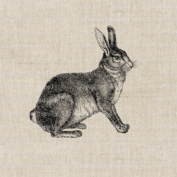 Vintage Rabbit Clipart 4H rabbit  bunny clip art wall decore