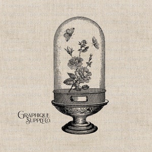 Blume Vivarium Cloche Jar Vintage Illustration Schmetterling Clip Kunst -Wand Dekor-Licht Wissenschaft Möbel Transfer