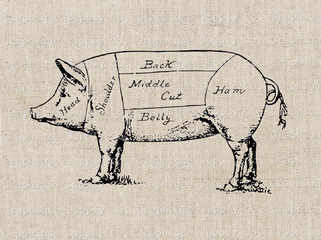 Vintage Pig Illustration Instant Download Digital Printable Vintage ...