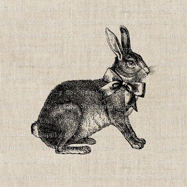 Vintage Hare Rabbit Clipart Cotttagecore decore wall decore primitive bunny