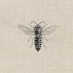 Queen Bee Vintage Clip Art-Download Digital Printable PNG JPEG 300dpi