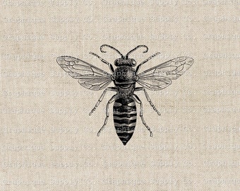 Queen Bee Vintage Clip Art-Download Digital Printable PNG JPEG 300dpi