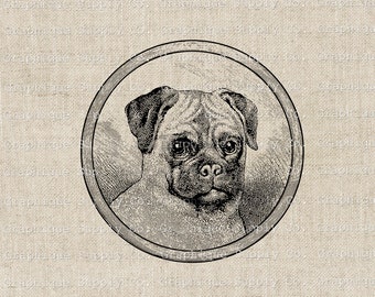 Pug Dog Vintage Illustration Instant Download Digital Printable Vintage Animal Clip Art SublimationTransfer Image PNG JPEG Format 300dpi