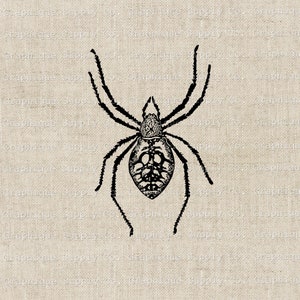 May include: A black and white illustration of a spider with detailed markings on its body and legs. The spider is centered on a beige, textured background. The text "Graphique Supply Co." is visible in the background.