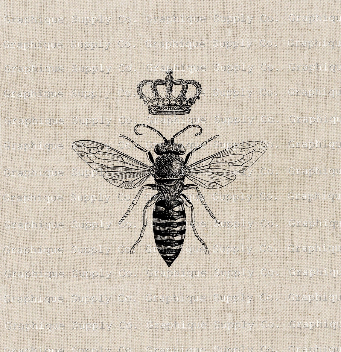 Queen Bee Clip Art-bee Decal Iron on Transfer-original Art - Etsy