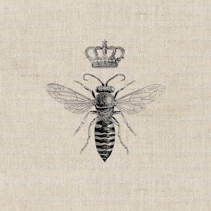 May include: A black and white vintage illustration of a bee with a crown above it. The bee has a striped abdomen and wings with veins. The crown is ornate with jewels.