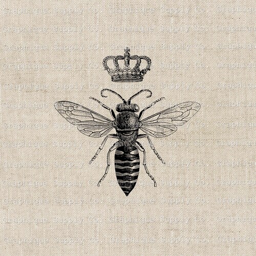 Queen Bee Clip Art-bee Decal Iron on Transfer-original Art - Etsy