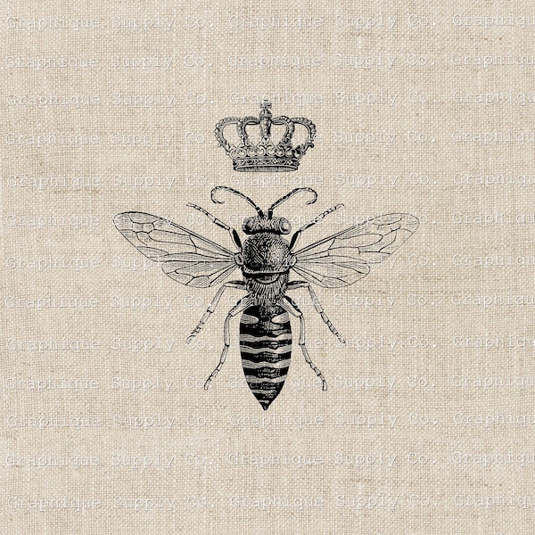 Queen Bee Clip Art-Bee Decal- Iron On Transfer-original art work- home decore