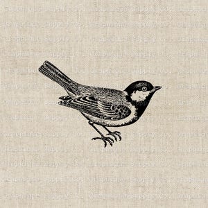 Vintage Bird SVG, Bird Vector Clipart, Black And White Digital Illustration, Royal Bird Design PDF