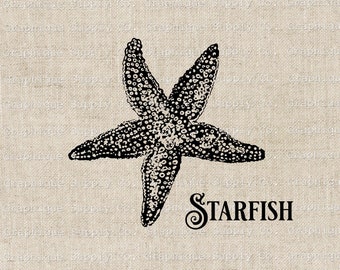 Vintage Starfish Illustration: Nautical Beach Clip Art (Digital Download)