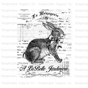 French Rabbit Clipart - Bunny Clip Art Vintage Illustration- Printable ...