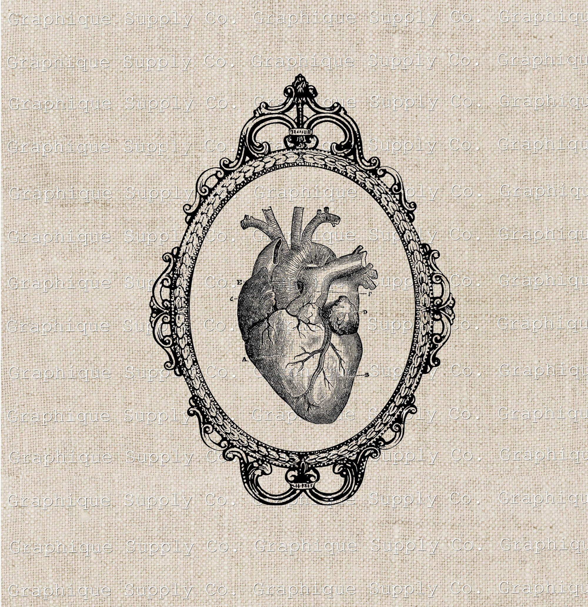 Vintage Heart Frame Digital Clip Art Instant Download Printable