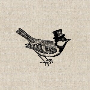 Clipart oiseau royal, vintage haut de forme oiseau SVG, art vectoriel esthétique Français, Illustration oiseau steampunk, téléchargement numérique victorien