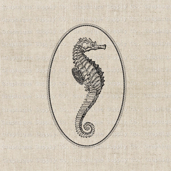 Seahorse Rope Oval frame-LG size Clipart Nautical Png -mermaidcore, nautical logo, crustaceancore, wall decore, furniture transfer