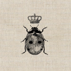 May include: A black and white illustration of a ladybug wearing a gold crown. The ladybug is on a beige background with a textured pattern.