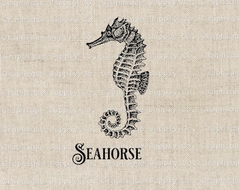 Sea Horse Beach Nautical Vintage Illustration- Instant Download Digital Printable Clip Art Iron on Transfer Image PNG JPEG Format 300dpi
