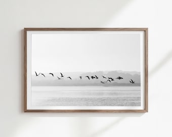 black and white flying bird print, coastal horizontal art, digital download, beach house decor, california photography, seagull