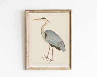 Vintage blåhägertryck, grandmillennial-tryck, Nantucket-tryck, fågelväggkonst, kustbarnbarn, strandhusdekor, utskrivbar