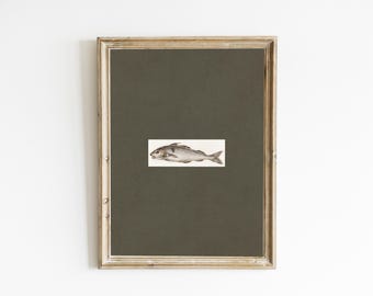 vintage väggkonst med fisk, salviagrönt grandmillennial-tryck, vintage sardinkonst, fransk lantlig stil, gröna barnrumstryck, lantlig inredning