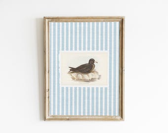 Láminas de la costa este para la nieta millennial, láminas de Nantucket, arte mural playero, arte mural de aves, nieta costera, decoración para casa de playa, imprimibles