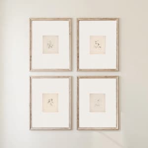 May include: Four framed botanical prints. Each print features a delicate, black and white illustration of a flower or plant. The frames are a light, weathered wood, and the prints are matted with a white border.