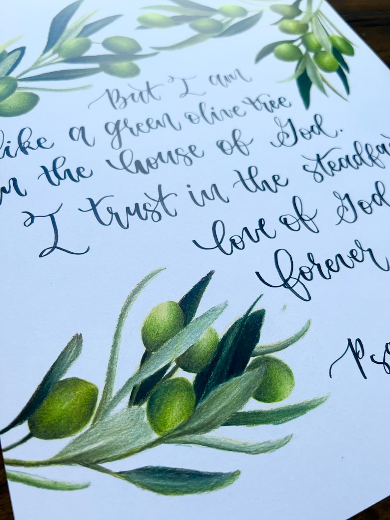 May include: A watercolor painting of olive branches with green leaves and olives. The painting features a handwritten quote: "But I am like a green olive tree in the house of God. I trust in the steadfast love of God forever."