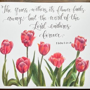 1 Peter 1:24-25 Pink Tulip Print