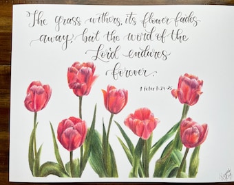 1 Peter 1:24-25 Pink Tulip Print