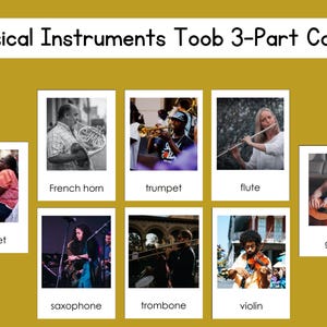 Musical Instruments Safari Toob 3-Part Card Set Digital File