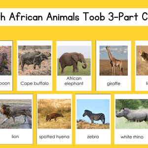 Jeu de cartes en 3 parties Safari Toob, animaux d'Afrique du Sud, fichier numérique
