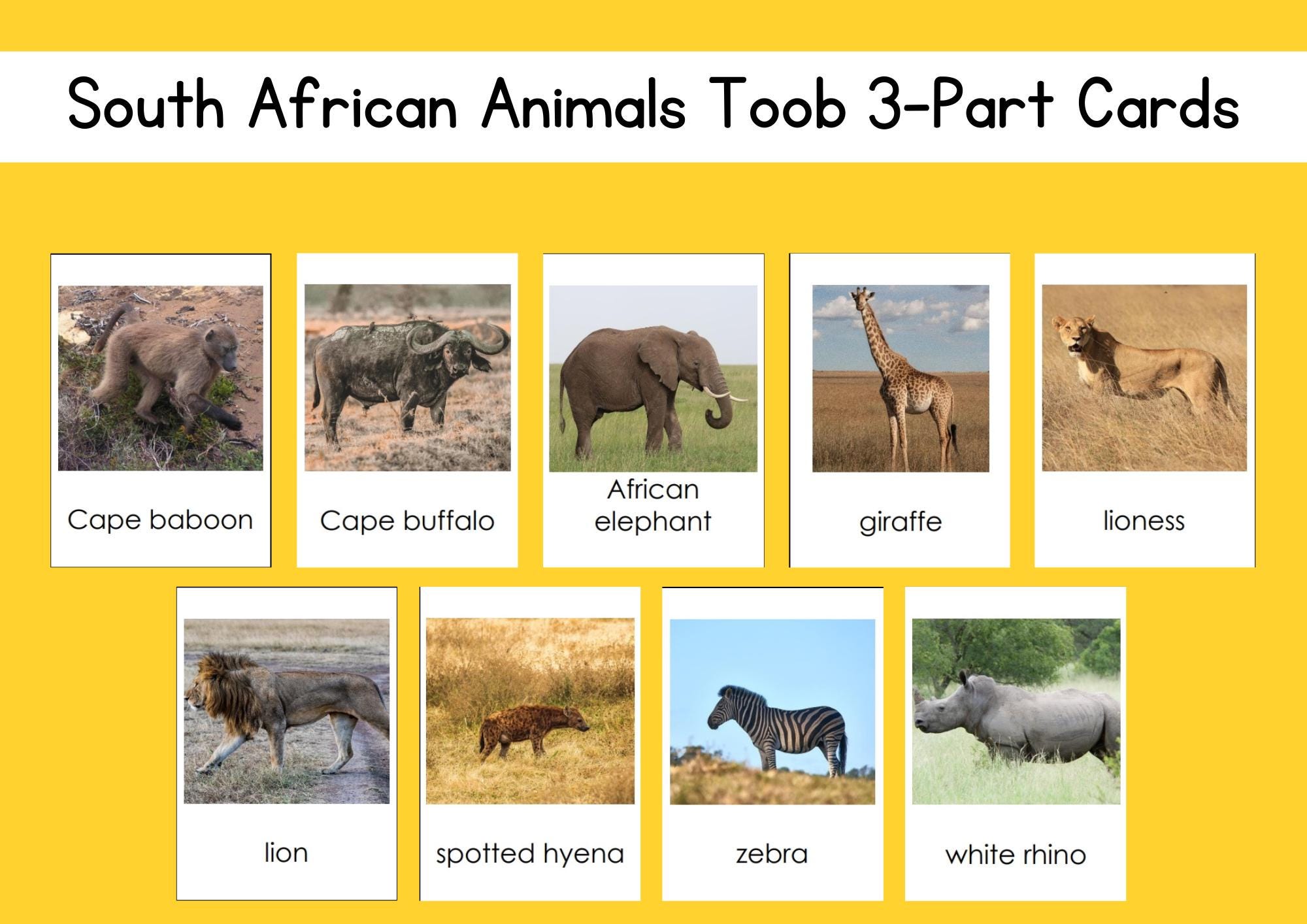 South African Animals Safari Toob 3-part Card Set Digital File - Etsy