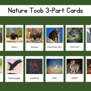 Nature Safari Toob 3-Part Card Set Digital File