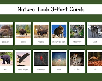 Nature Safari Toob 3-delige kaartenset digitaal bestand