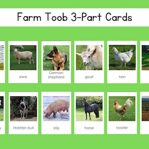 Farm Safari Toob Juego de tarjetas de 3 partes Archivo digital